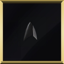 Section 31 Badge