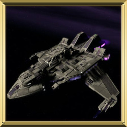 Maquis Raider
